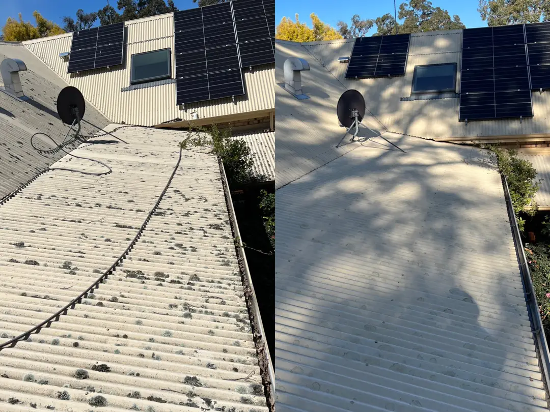 before and after roof cleaning lichen damaged colourbond roof