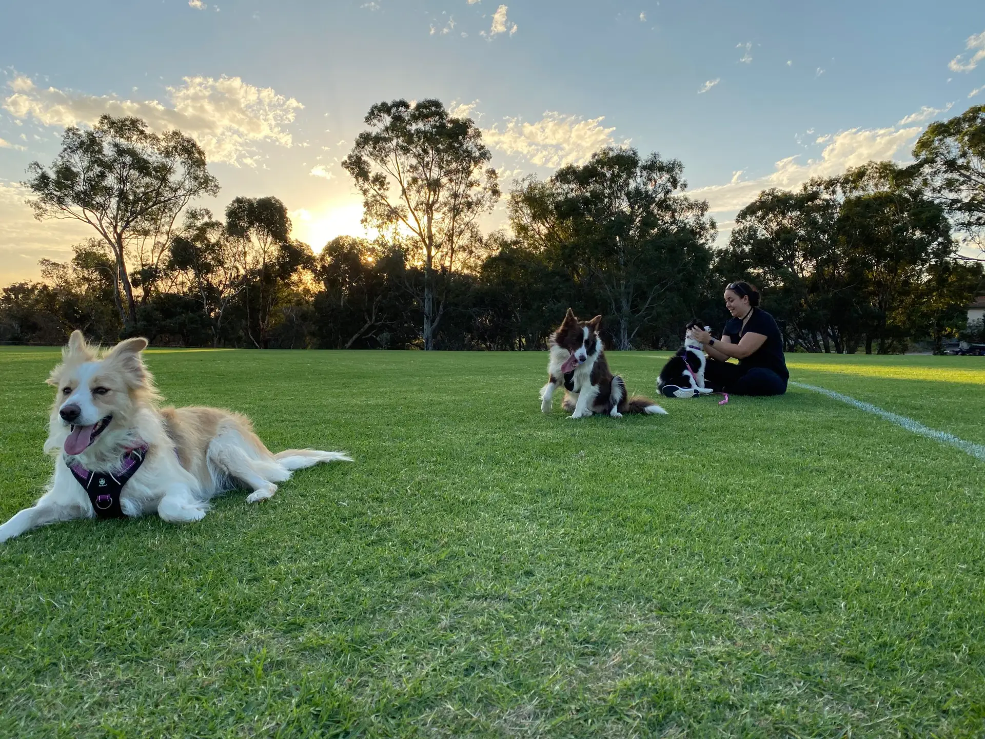 family at the park at the end of the day