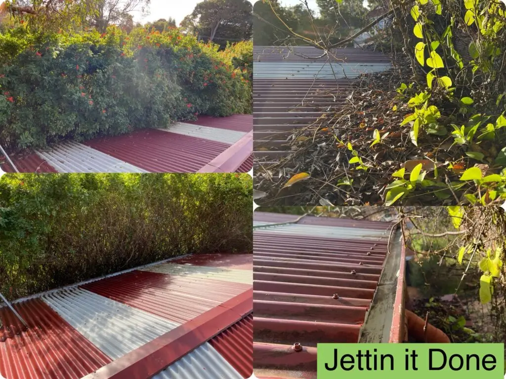 top left: bush overgrown shed, top right: full gutters vine overtaking shed roof, bottom bottom: after tree pruning and gutter cleaning