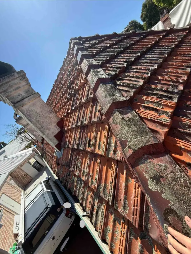 terracotta roof during biocidal treatment