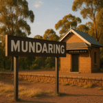 Vacuum Gutter Cleaning Mundaring