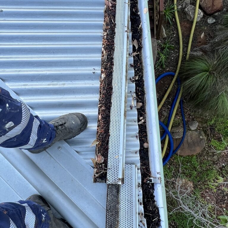 DIY perforated gutter guard with organic debris trapped inside the gutter and against the underside of corrugated roof sheets.