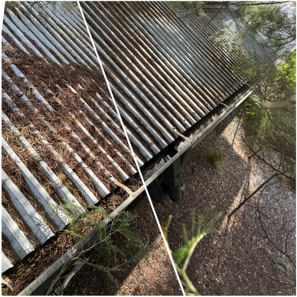 Before and after professional vacuum gutter cleaning on a bushland home in Mundaring showing pine needles and debris removed from the roof and gutters.
