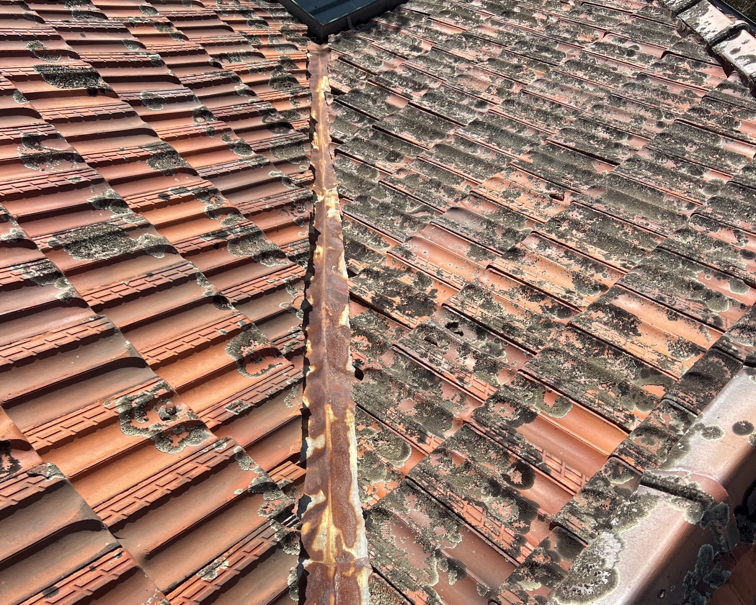 Roof valley flashing showing severe corrosion beneath a heavily lichen-covered tiled roof.